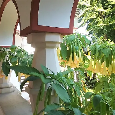 Gastehaus Benvenuto Guest house Sooss