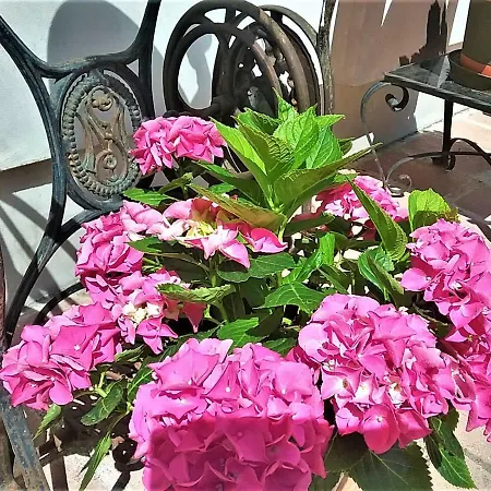 Gastehaus Benvenuto Sooss