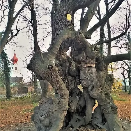 Gastehaus Benvenuto Guest house