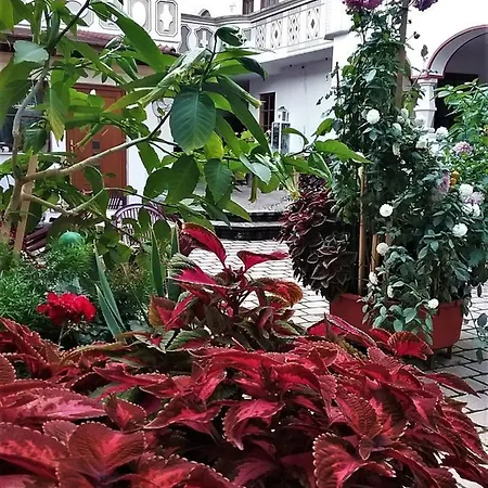 Gästehaus Benvenuto * Sooss