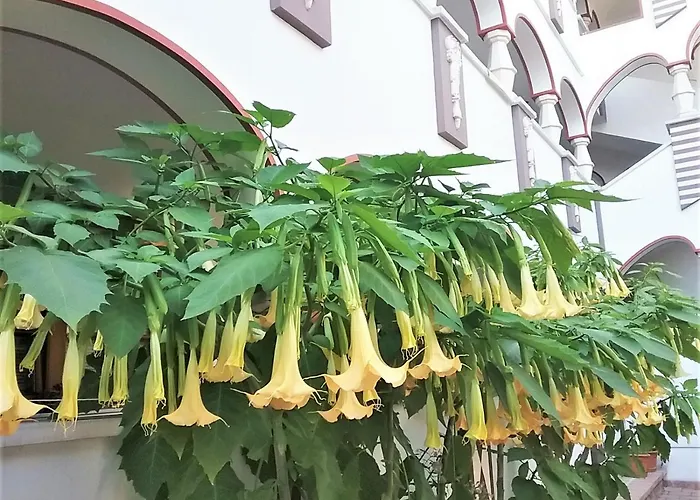 Vendégház Gastehaus Benvenuto