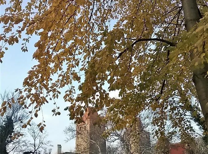 Vendégház Gastehaus Benvenuto