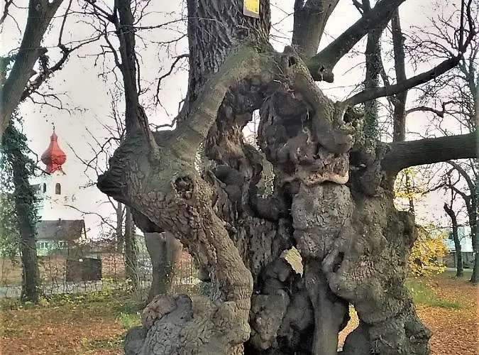 Gastehaus Benvenuto Vendégház