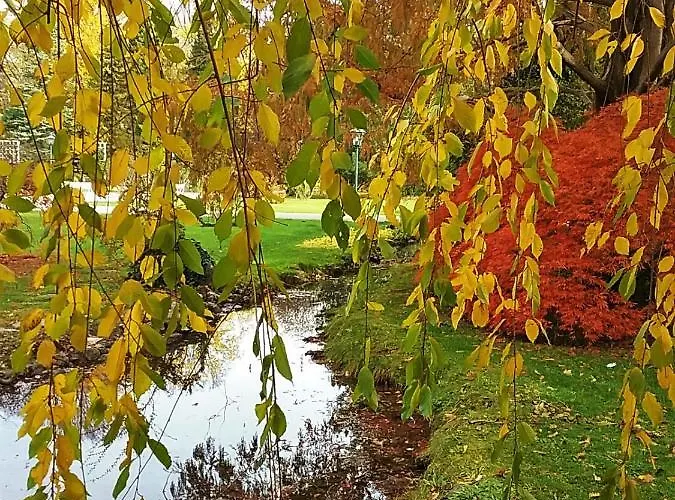 Gastehaus Benvenuto * Sooss