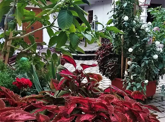 Gastehaus Benvenuto * Sooss