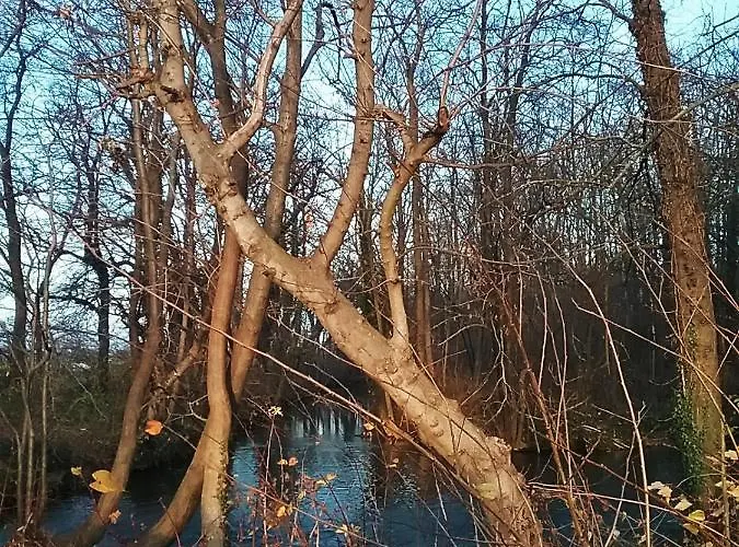 Gastehaus Benvenuto Vendégház
