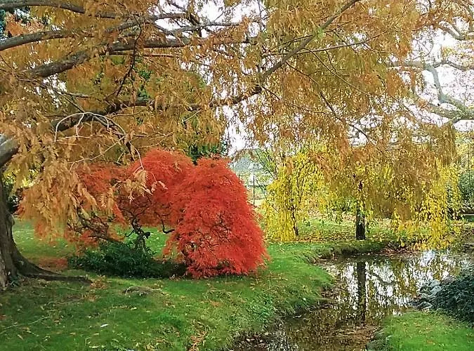 Vendégház Gastehaus Benvenuto