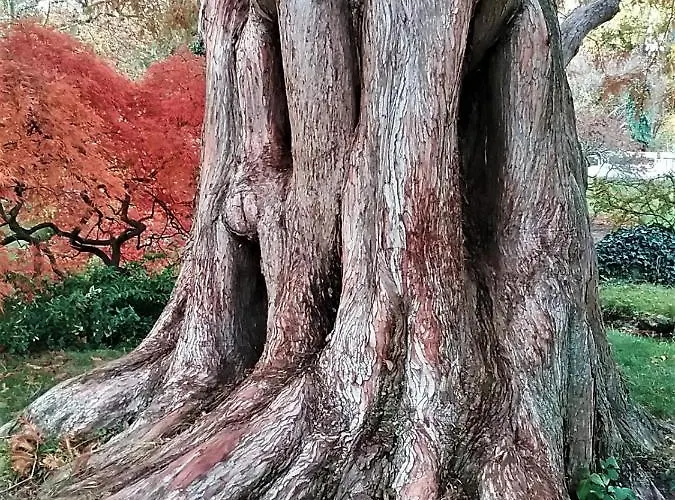 Gastehaus Benvenuto Sooss